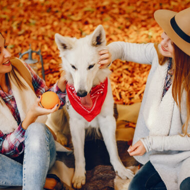 Choosing the Right Pet for Your Lifestyle 🐦