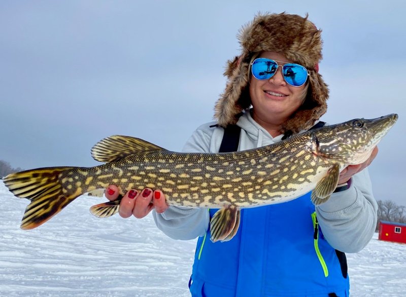 Learn about ice fishing live casino