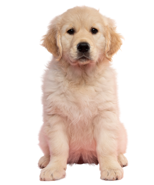 Untitled design - 2025-09-22T150033.635